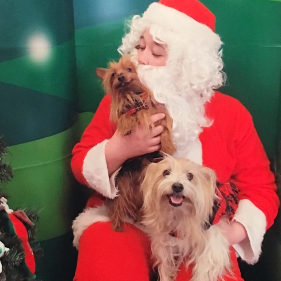 Meet your Posher, Cindy - Picture 3 of 8